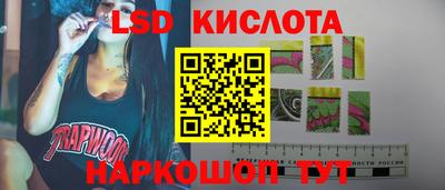 PSILOCYBIN Кулебаки