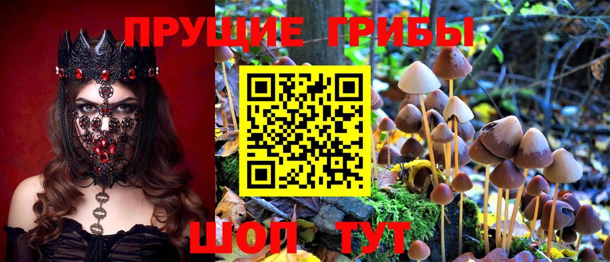 Уварово  Псилоцибиновые грибы Psilocybine cubensis  Вход с VPN 